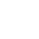 Smartphone